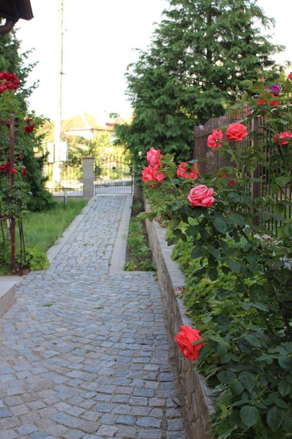 Hotel Radi Sapareva Banya Bagian luar foto