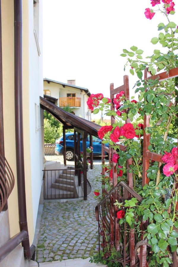 Hotel Radi Sapareva Banya Bagian luar foto